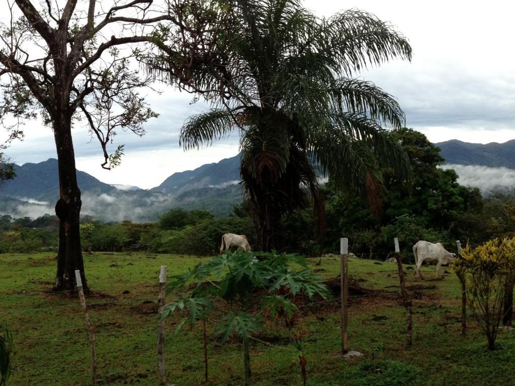 Coffee Mountain Inn سانتا في المظهر الخارجي الصورة